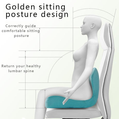 Seat Cushion for Long-Term Sitting