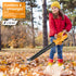Cordless Leaf Blower w/ 2 Batteries