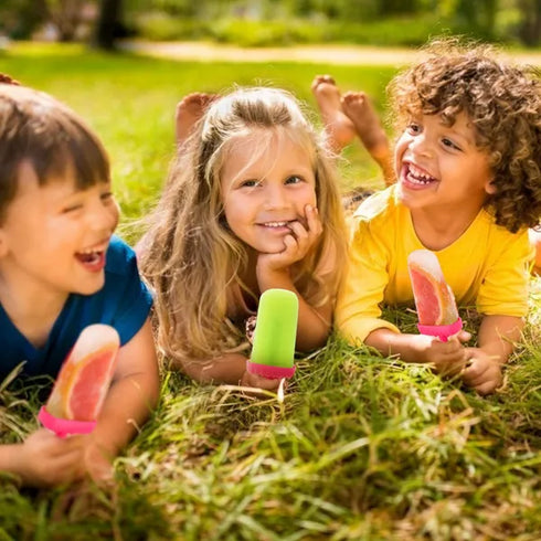 6Pcs Reusable Popsicle Molds / DIY Ice Cream Maker