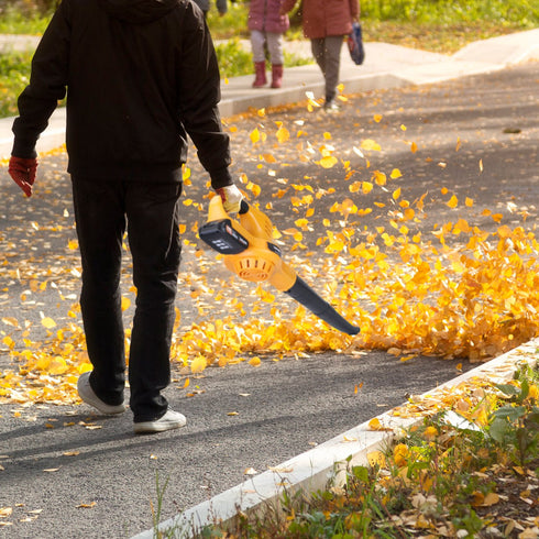 Cordless Leaf Blower w/ 2 Batteries