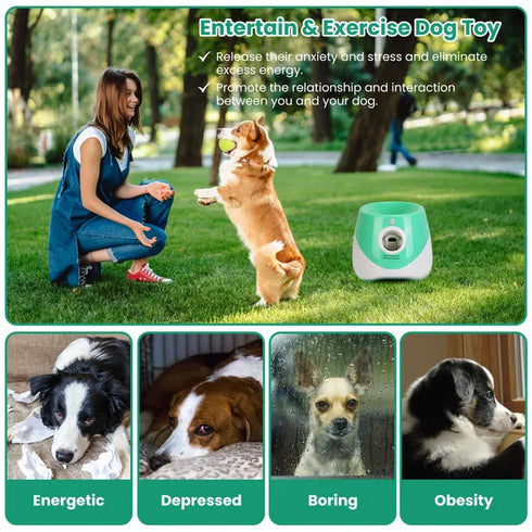 Automatic Dog Ball Launcher w/ 6 Balls & 3 Adjustable Distances