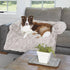 Comfortable & Durable Dog Bed for All Sizes