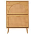 hoe Cabinet w/ 2 Flip Drawers - Rattan Doors