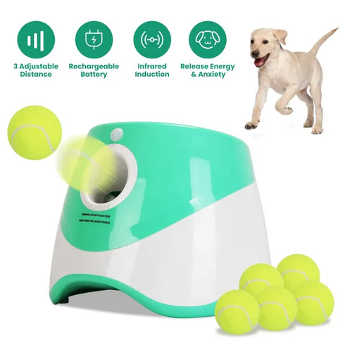 Automatic Dog Ball Launcher w/ 6 Balls & 3 Adjustable Distances