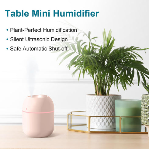 220ml Portable USB Mini Cool Mist Humidifier