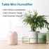220ml Portable USB Mini Cool Mist Humidifier