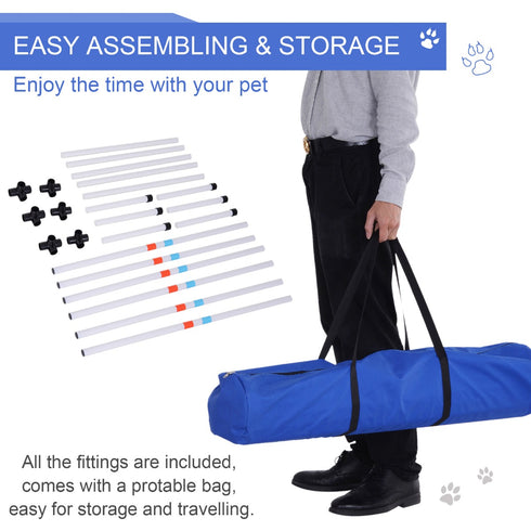 Portable Pet Agility Training Set
