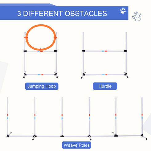 Portable Pet Agility Training Set