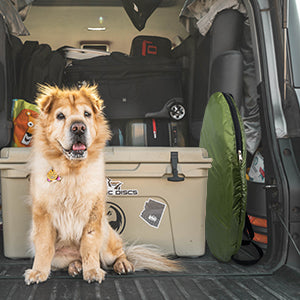 7FT Instant Up Camping Shower/Privacy Tent