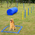 Portable Pet Agility Training Set