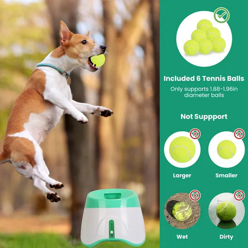 Automatic Dog Ball Launcher w/ 6 Balls & 3 Adjustable Distances