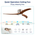 Ceiling Fan w/ Light & Solid Wood Blades