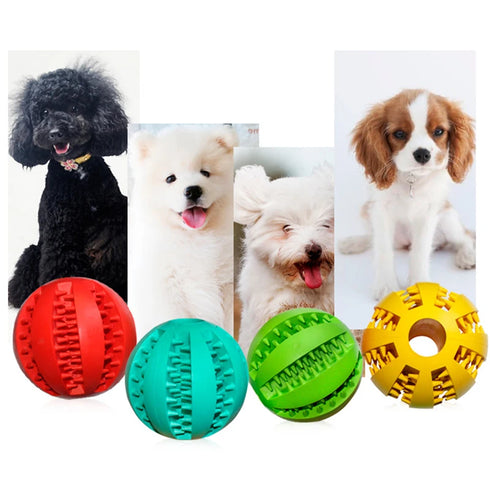 Rubber Chew Toy Ball for Dogs & Cats – Treat Holder & Tooth Cleaner