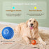Smart Electronic Dog Toy Ball – USB Rechargeable & Interactive