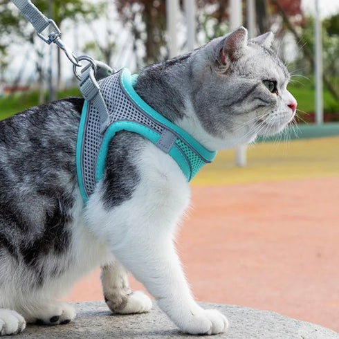 Adjustable Cat Harness & Leash Set for Small Pets