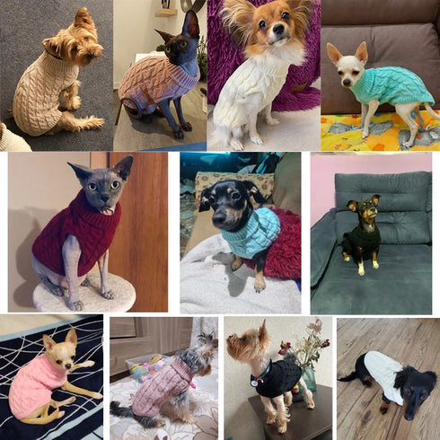 Warm Knitted Dog Sweater - Turtleneck for Small Pets