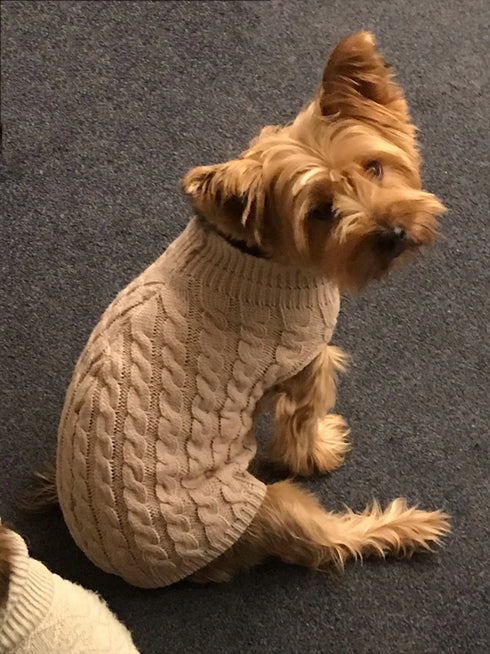 Warm Knitted Dog Sweater - Turtleneck for Small Pets