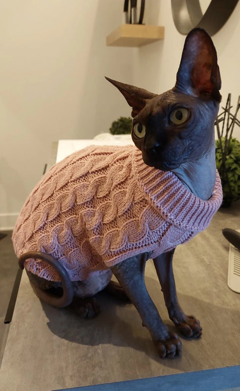 Warm Knitted Dog Sweater - Turtleneck for Small Pets