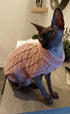 Warm Knitted Dog Sweater - Turtleneck for Small Pets