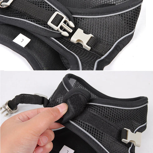 Adjustable Cat Harness & Leash Set for Small Pets