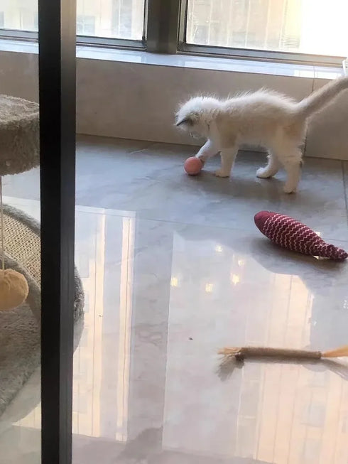 Smart Interactive Rolling Ball for Cats – Electronic Indoor Toy