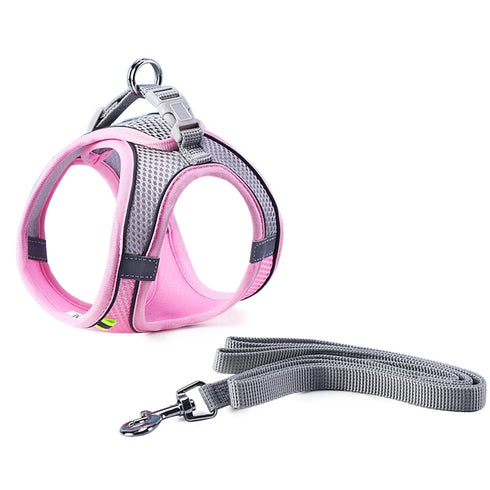 Adjustable Cat Harness & Leash Set for Small Pets