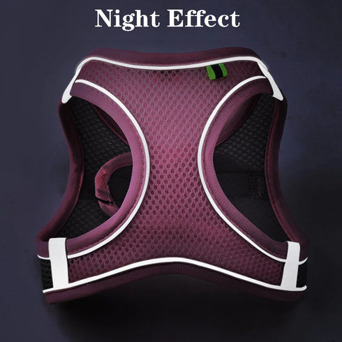 Adjustable Cat Harness & Leash Set for Small Pets