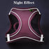 Adjustable Cat Harness & Leash Set for Small Pets