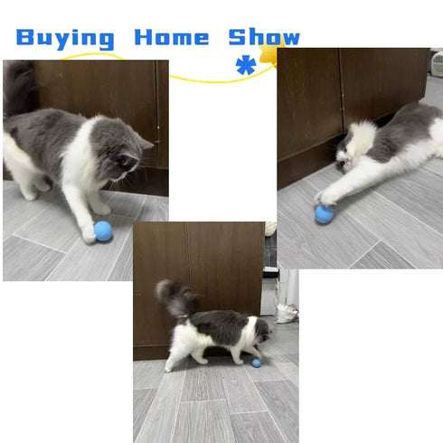 Smart Interactive Rolling Ball for Cats – Electronic Indoor Toy