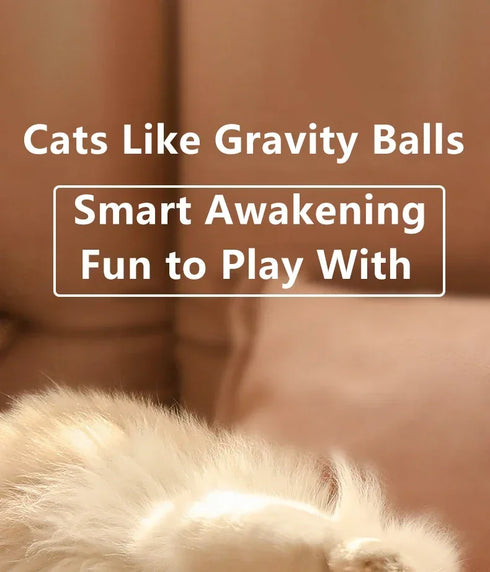 Smart Interactive Rolling Ball for Cats – Electronic Indoor Toy
