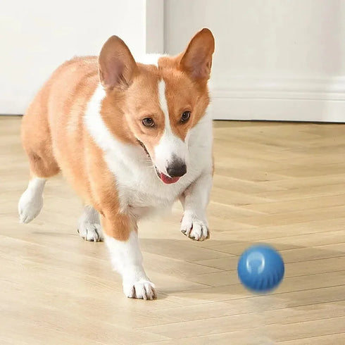 Smart Electronic Dog Toy Ball – USB Rechargeable & Interactive
