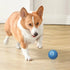 Smart Electronic Dog Toy Ball – USB Rechargeable & Interactive