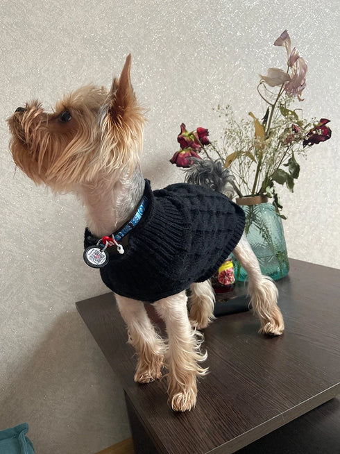 Warm Knitted Dog Sweater - Turtleneck for Small Pets