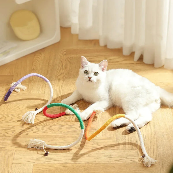 Silvervine-infused cotton rope toy for cats, combining dental benefits with interactive playtime elements.