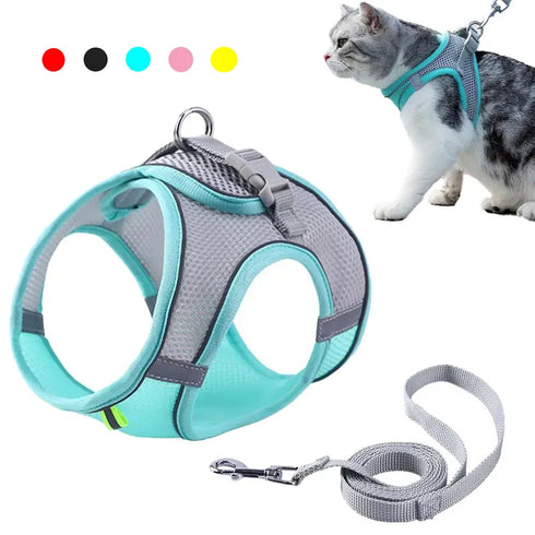 Lightweight pet harness set for daily walks, featuring adjustable straps and clip leash.