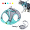 Lightweight pet harness set for daily walks, featuring adjustable straps and clip leash.