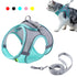 Lightweight pet harness set for daily walks, featuring adjustable straps and clip leash.