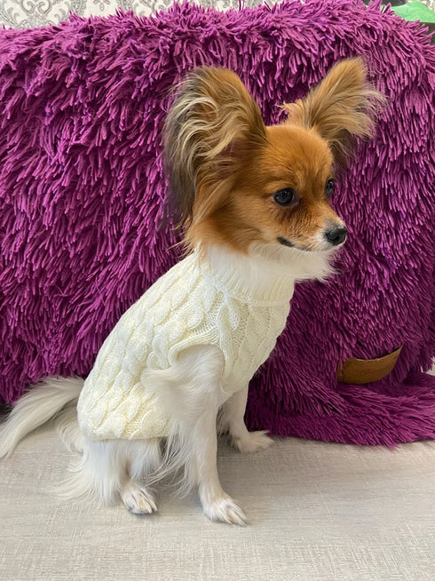 Warm Knitted Dog Sweater - Turtleneck for Small Pets