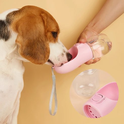 Outdoor travel water bottle for dogs, designed to prevent leaks.