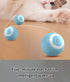 Smart Interactive Rolling Ball for Cats – Electronic Indoor Toy