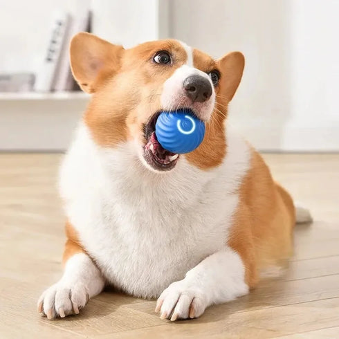 Smart Electronic Dog Toy Ball – USB Rechargeable & Interactive