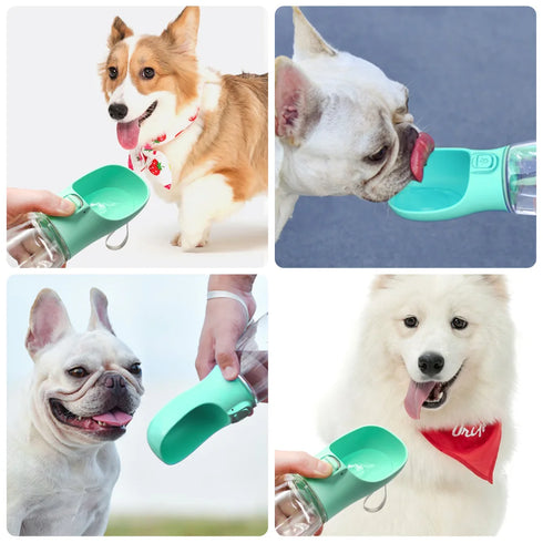 Leakproof Dog Water Bottle for Outdoor Travel