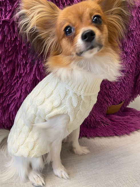 Warm Knitted Dog Sweater - Turtleneck for Small Pets