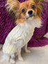 Warm Knitted Dog Sweater - Turtleneck for Small Pets