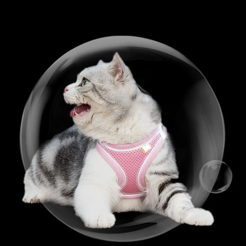 Adjustable Cat Harness & Leash Set for Small Pets