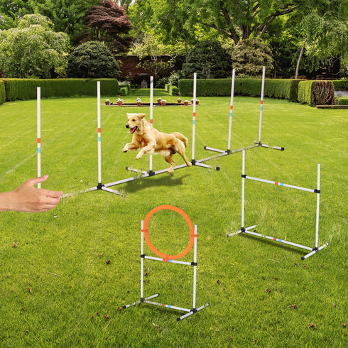 Portable Pet Agility Training Set