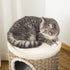 Cat Scratching Barrel Condo w/ 2 Dens & Snuggly Top